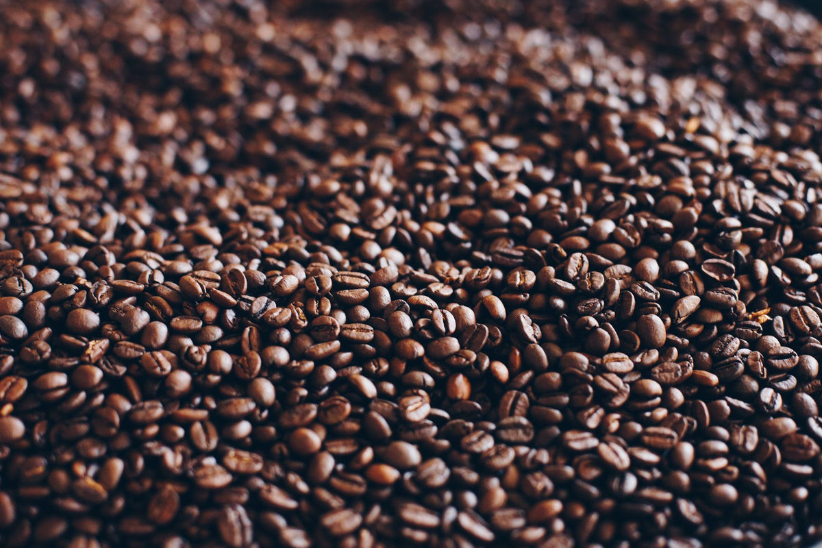 Close-up of balanced medium roast coffee beans